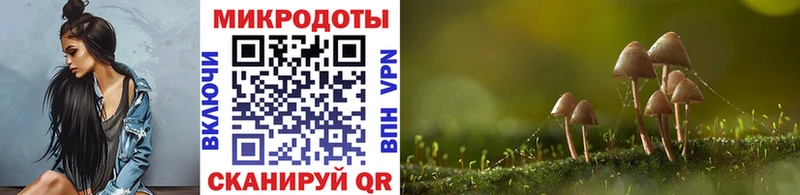 Купить  Усть-Джегута  Псилоцибиновые грибы Psilocybe 