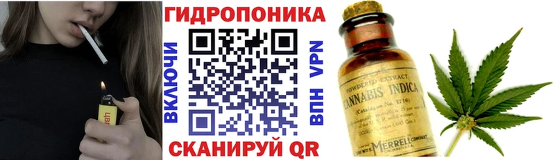 Бошки Шишки тримм  Купить  Усть-Джегута 